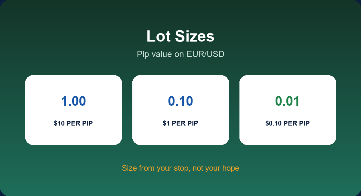 Lot sizes and pip value on EUR/USD
